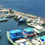Fines waived for fishing vessels