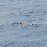 Captain remains lost at sea, two crew members rescued