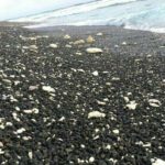 On Fuvahmulah’s blackened beach, workers begin cleanup of tonnes of dumped rock pieces by hand